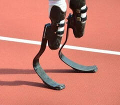 MALACHITE THE HEDGEHOG